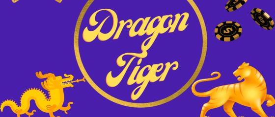 Dragon or Tiger - Playtech의 Dragon Tiger 플레이 방법